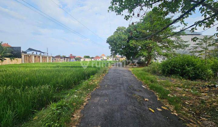 Tanah Bumbak Umalas Kerobokan badung 1