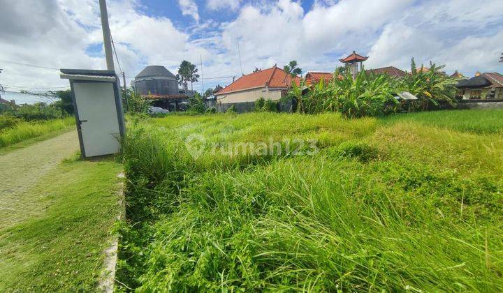 Tanah Raya Tegal Cupek Kerobokan Badung 2