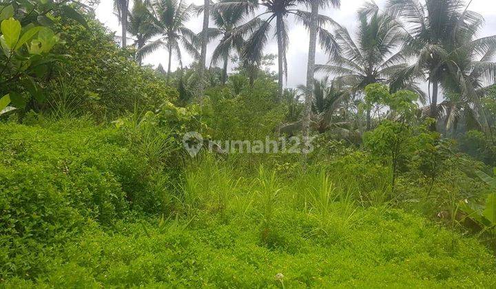 Land in Ayung River, Ubud, Gianyar 1