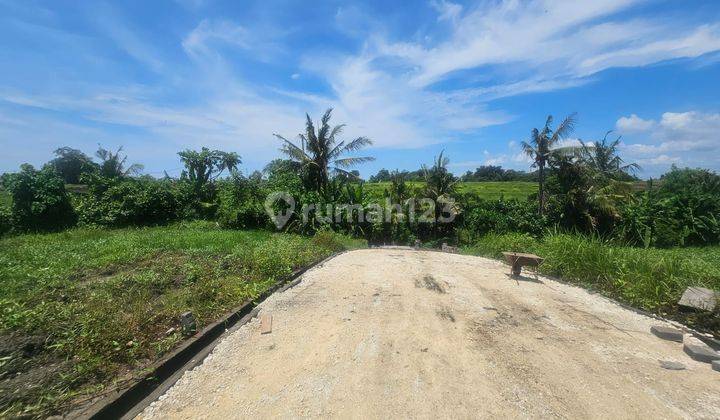 Tanah Kedungu Kediri Tabanan Bali 1