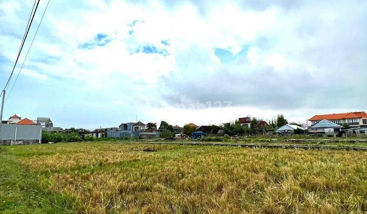 Tanah View Sawah Kedampang Kerobokan 1