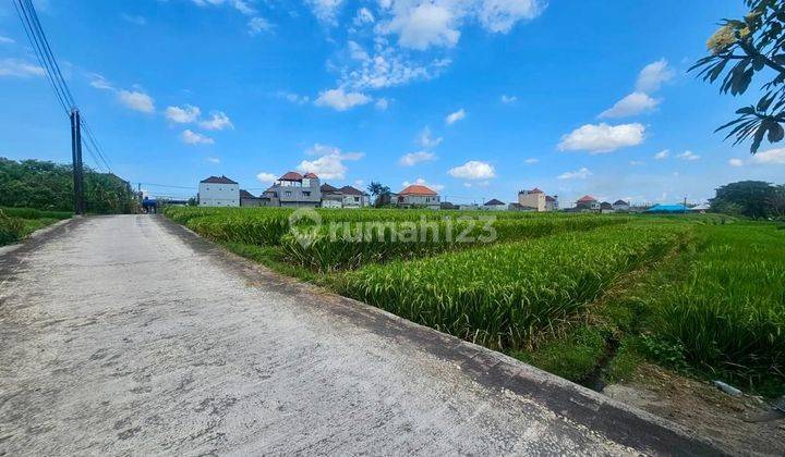 Land with Rice Field View in Nyambu Kediri Tabanan Bali 1