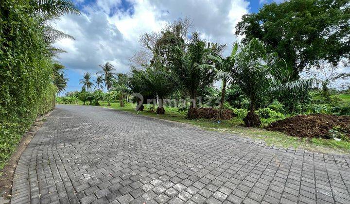 Tanah View Sawah Munggu Mengwi 1