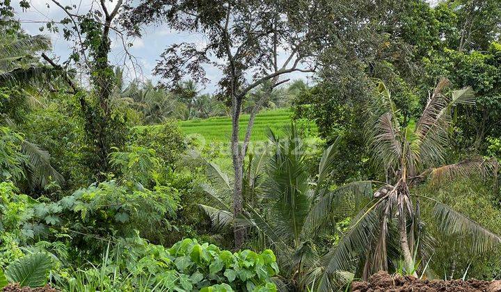 Tanah View Sawah Munggu Mengwi 3