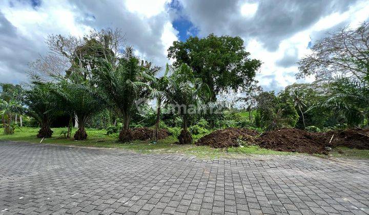 Tanah View Sawah Munggu Mengwi 7