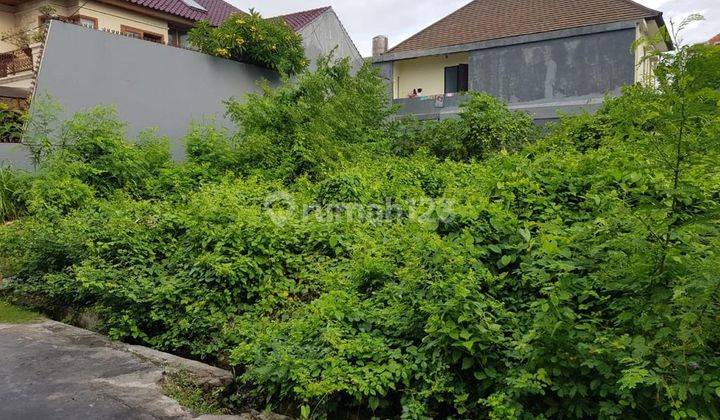 Tanah gurita sesetan denpasar 3