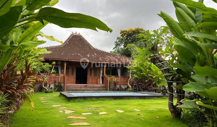 Villa seminyak Badung Bali 1