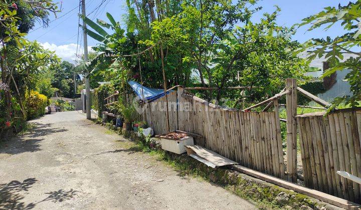 Tanah Tumbak Bayuh Mengwi 1