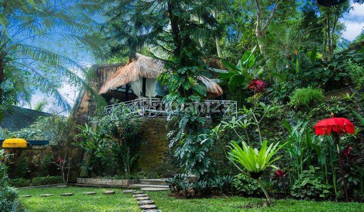 Villa View Sawah Pantai Seseh Mengwi 18