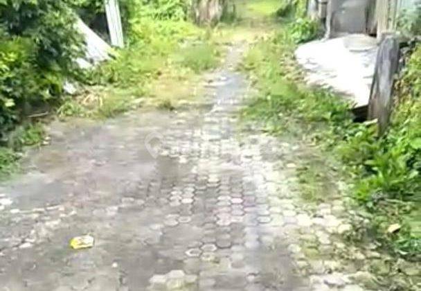 Tanah Merta Sari Kerobokan Badung 6
