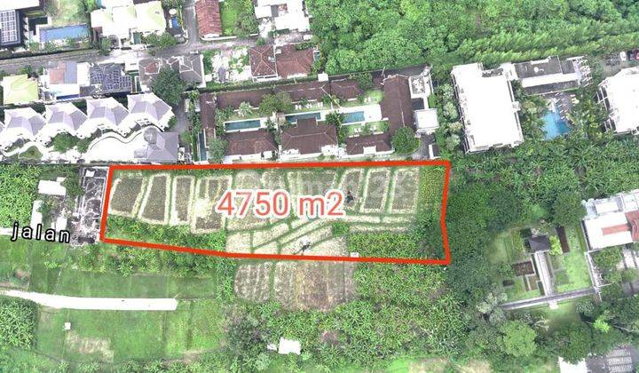 Tanah Petitenget Kerobokan Badung 5