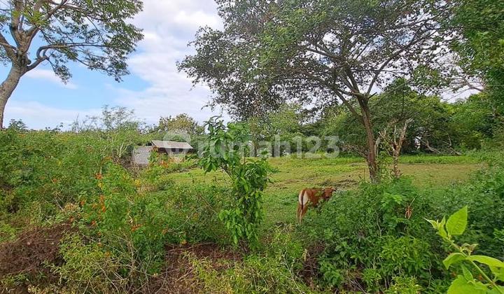 Tanah Kutuh Pandawa Jimbaran Kuta Selatan Badung 2