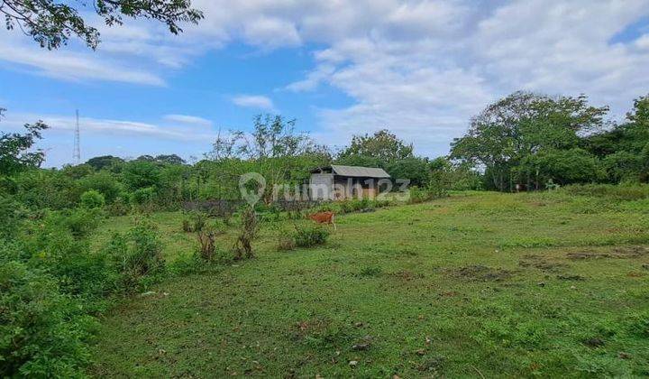 Tanah Kutuh Pandawa Jimbaran Kuta Selatan Badung 9