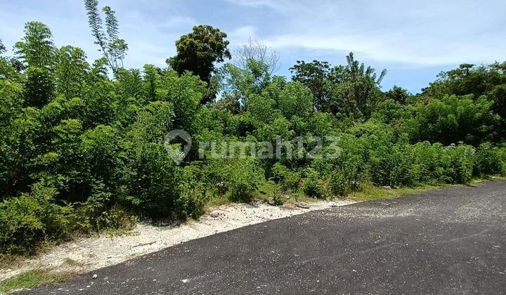 Tanah Ocean View Kutuh Pandawa Jimbaran Kuta Selatan Badung 4