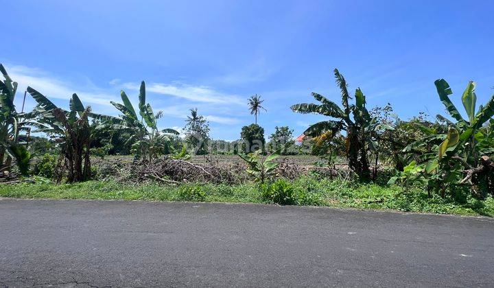 Tanah tumbak bayuh mengwi 6