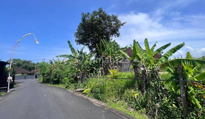 Tanah tumbak bayuh mengwi 8
