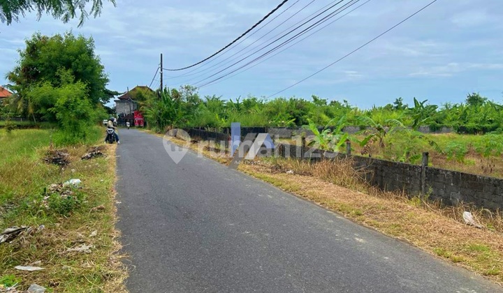 Tanah View Sawah Raya Kelating Tabanan Tanah View Sawah Raya Kelating Tabanan