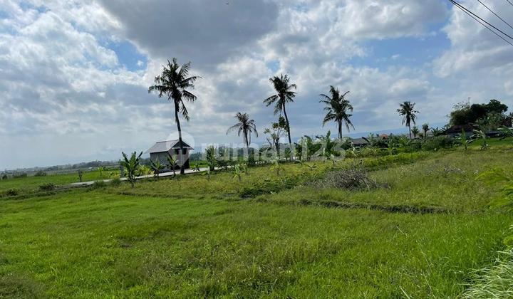 Tanah pantai kelating tabanan 3