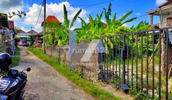 Tanah Berawa Canggu Badung 8
