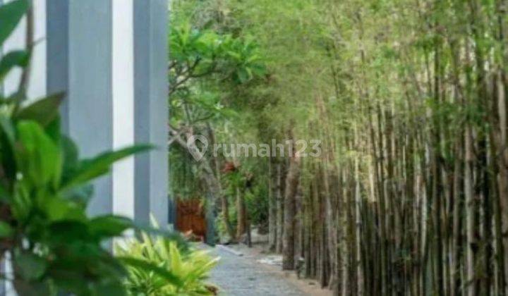 Villa View Sawah Buduk Mengwi Badung 2