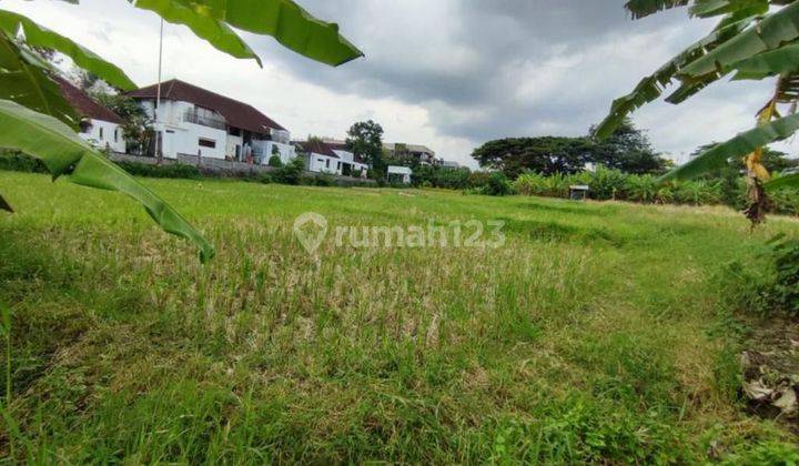 Tanah murah petitenget kerobokan 2