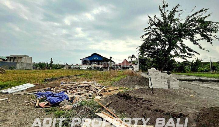 Tanah Merta Agung Kerobokan Kelod Badung Bali 2