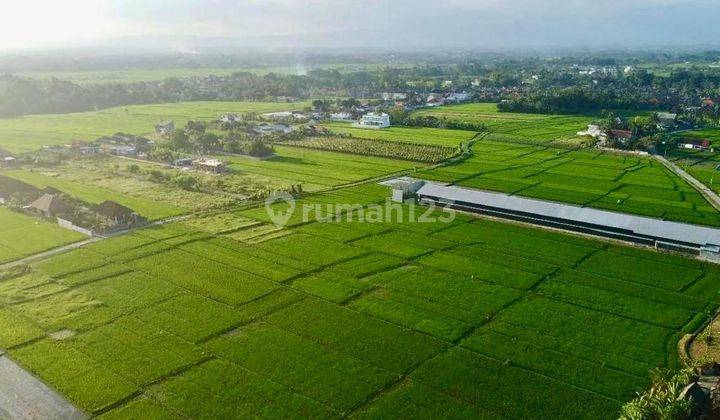 Tanah pantai kedungu tabanan 1