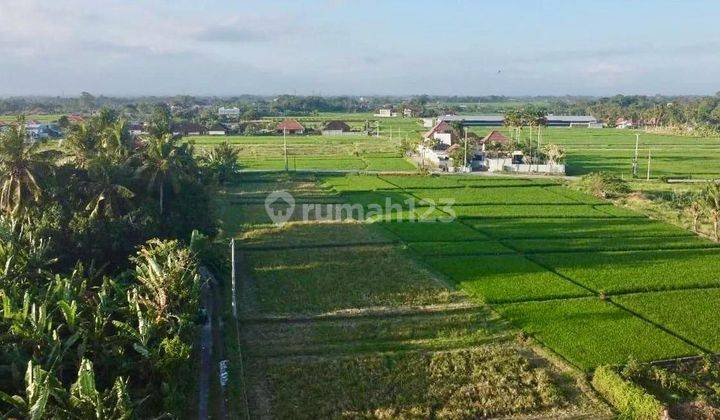 Tanah pantai kedungu tabanan 2