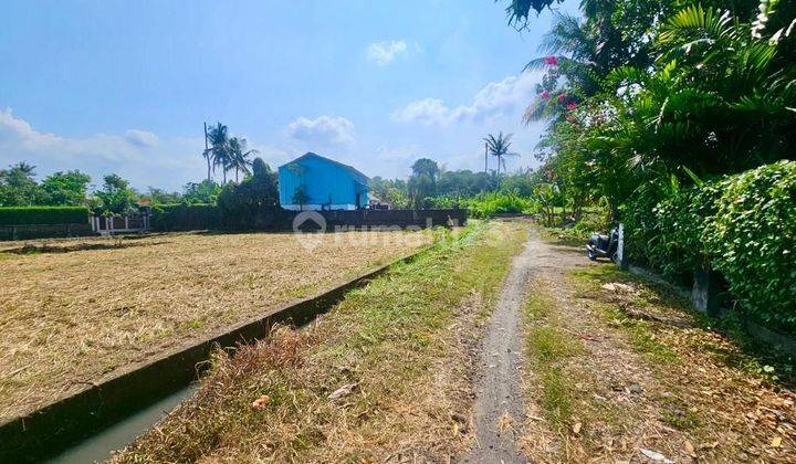 Tanah Tibu Biyu Kerambitan Tabanan Bali 1