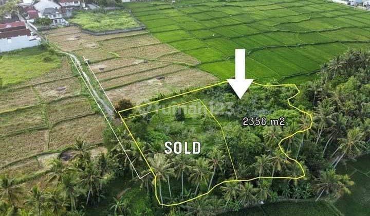 Land View Sawah & Los Sungai Lodtunduh Ubud Gianyar Bali 1