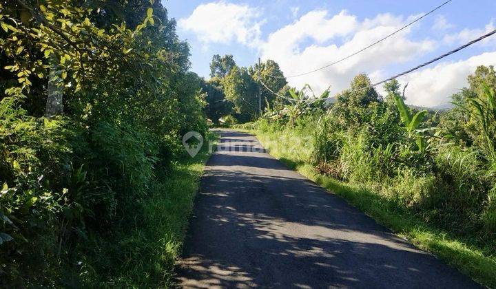 Land Full View Lovina Beach Sidemen Buleleng Bali 2