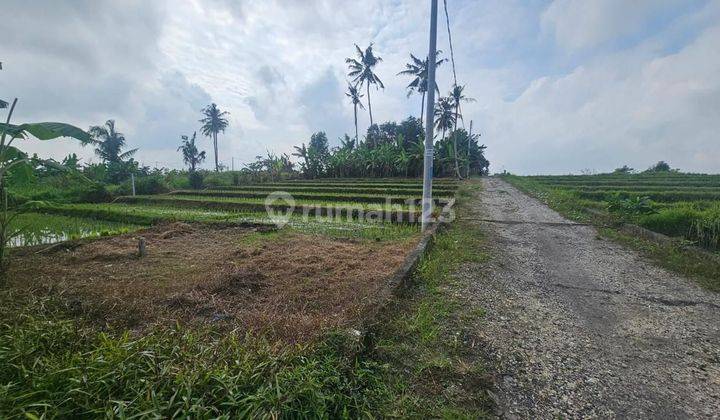 Tanah View Sawah Pantai Nyanyi Tabanan Bali 1