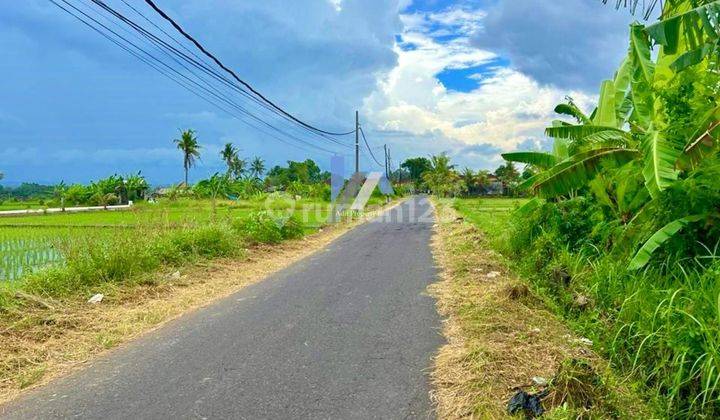 Tanah View Sawah Raya Pantai Kelating Kerambitan Tabanan 1