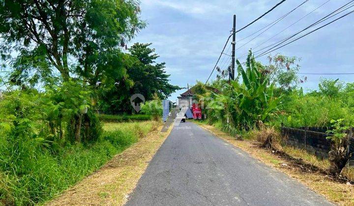 Tanah View Sawah Raya Pantai Kelating Kerambitan Tabanan 2