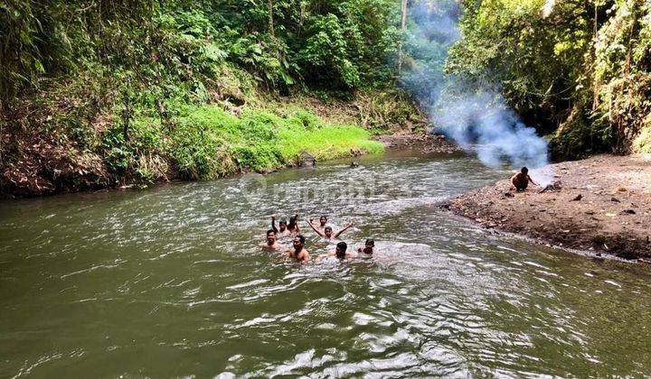 Tanah Los Sungai Petanu Goa Gajah Ubud 1