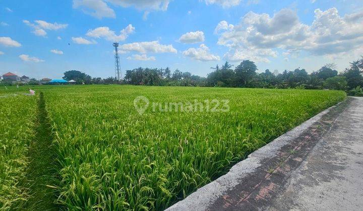 Land with Rice Field View in Nyambu Kediri Tabanan Bali 2