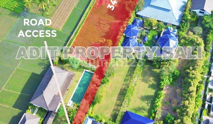 Tanah Beach Front Pantai Pasut Tabanan