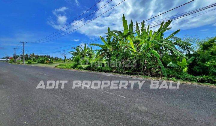 Sea View Land Pangkung Tibah Kediri Tabanan 2