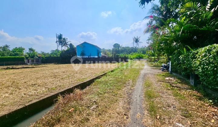 Tanah Tibubiyu Kerambitan Tabanan