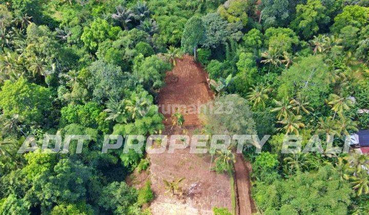 Land Plot with River & Jungle View Payangan Ubud Bali 2