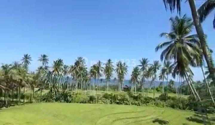 Tanah Ocean View Pantai Balian Selemadeg Barat Tabanan Bali 1