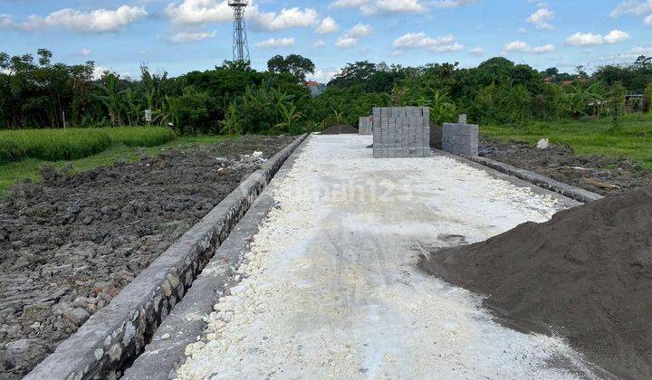 Tanah View Sawah Sampi Kerobokan Kaja Badung 1