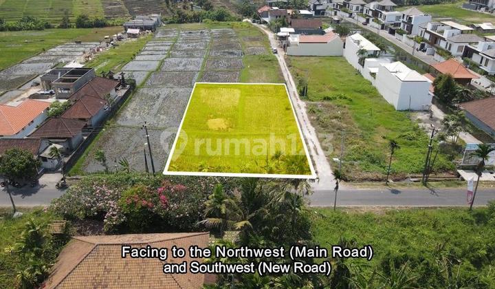 Tanah Raya Pantai Cemagi Mengwu Badung Tanah Raya Pantai Cemagi Mengwu Badung