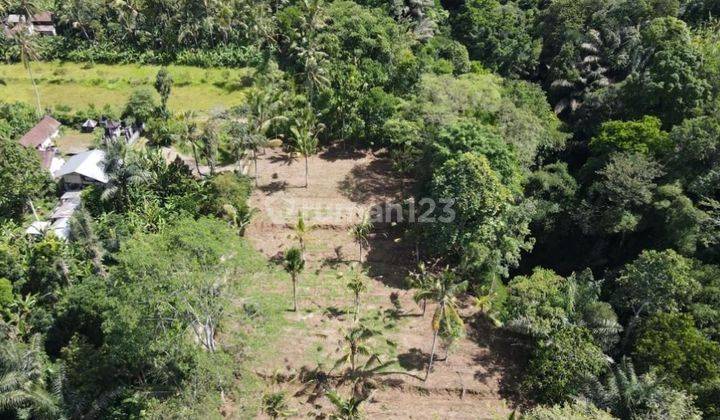 Tanah Kavling View Jungle & Sungai Payangan Ubud 1