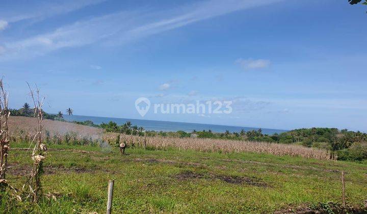 Tanah Ocean View Pantai Kelecung Selemadeg Tabanan 1