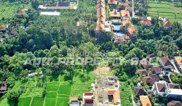 Land Los Sungai Tirta Tawar Ubud Gianyar Bali 2