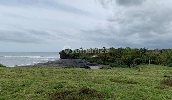 Land in Los Pantai Pasut Kerambitan Tabanan 2