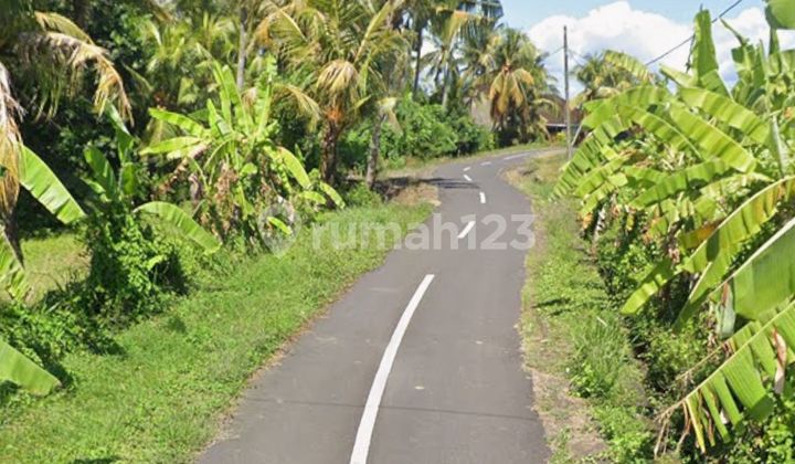 Tanah Murag Los Sungai Beraban Selemadeg Timur Tabanan Bali Tanah Murag Los Sungai Beraban Selemadeg Timur Tabanan Bali