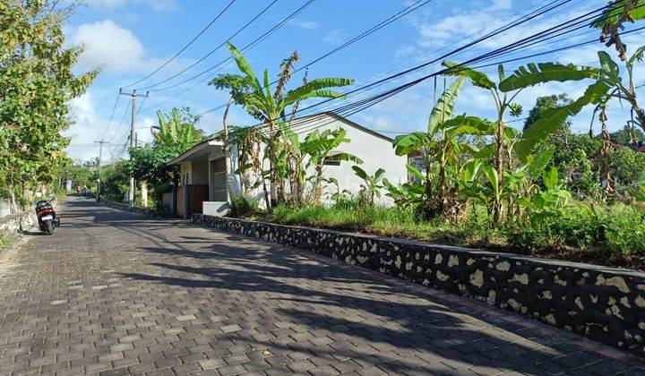 Gong Cave Land Jimbaran Badung Bali 1