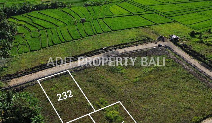 Land with View of Rice Fields at Kedungu Beach, Kediri, Tabanan, Bali 1